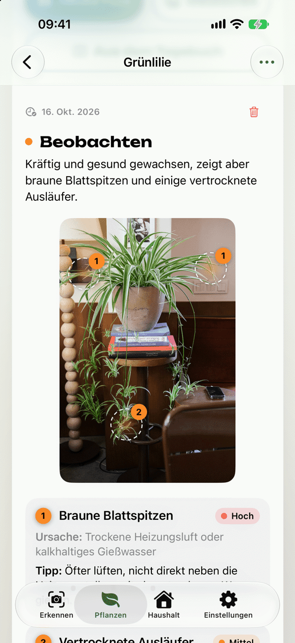 Pflanzen-Check mit Befund, Ursache und Maßnahmen