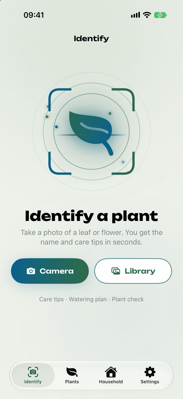 Identify a plant from a photo