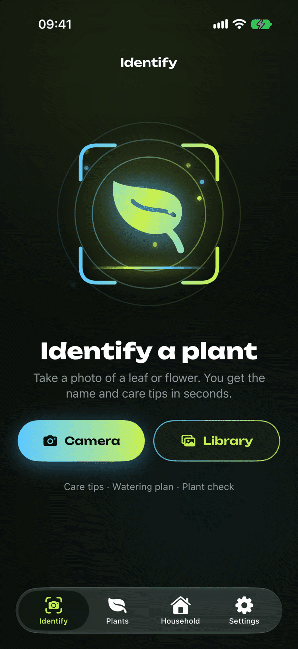 Identify a plant from a photo