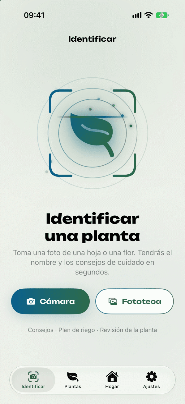 Identificar una planta con una foto