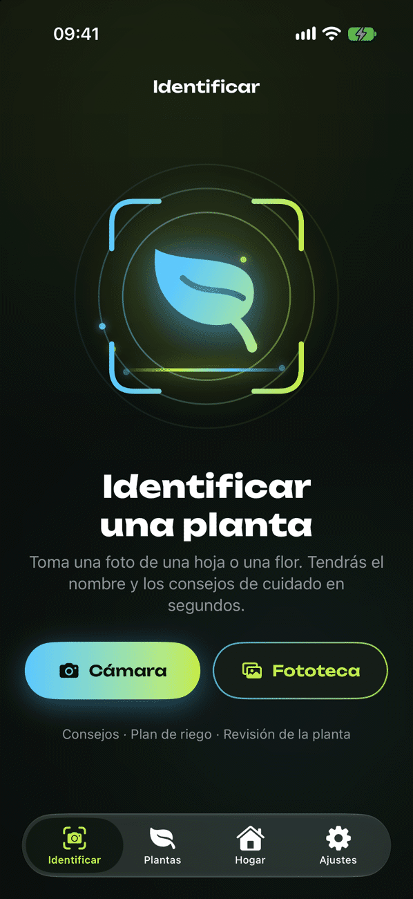 Identificar una planta con una foto