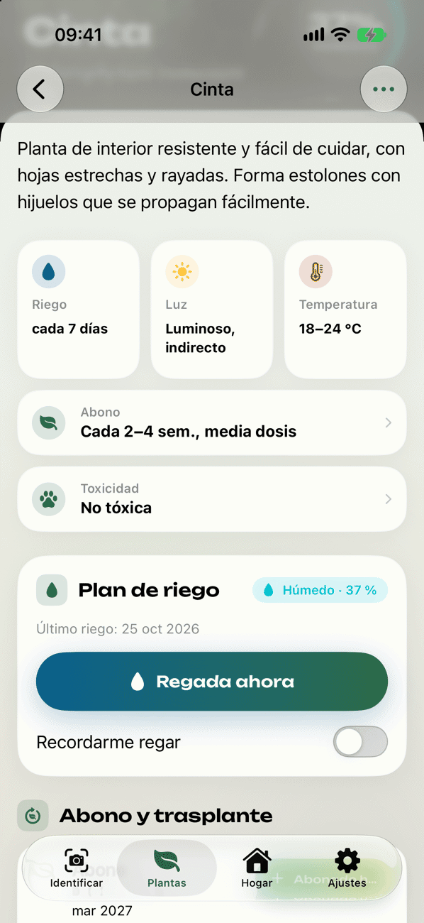 Plan de cuidado y riego