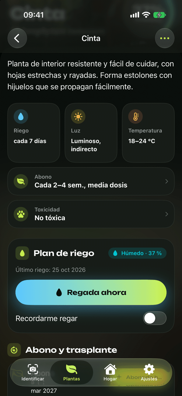 Plan de cuidado y riego