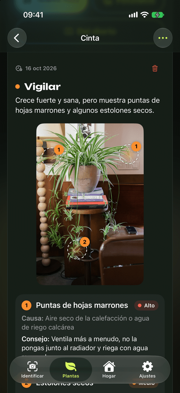 Revisión de la planta con diagnóstico, causa y medidas