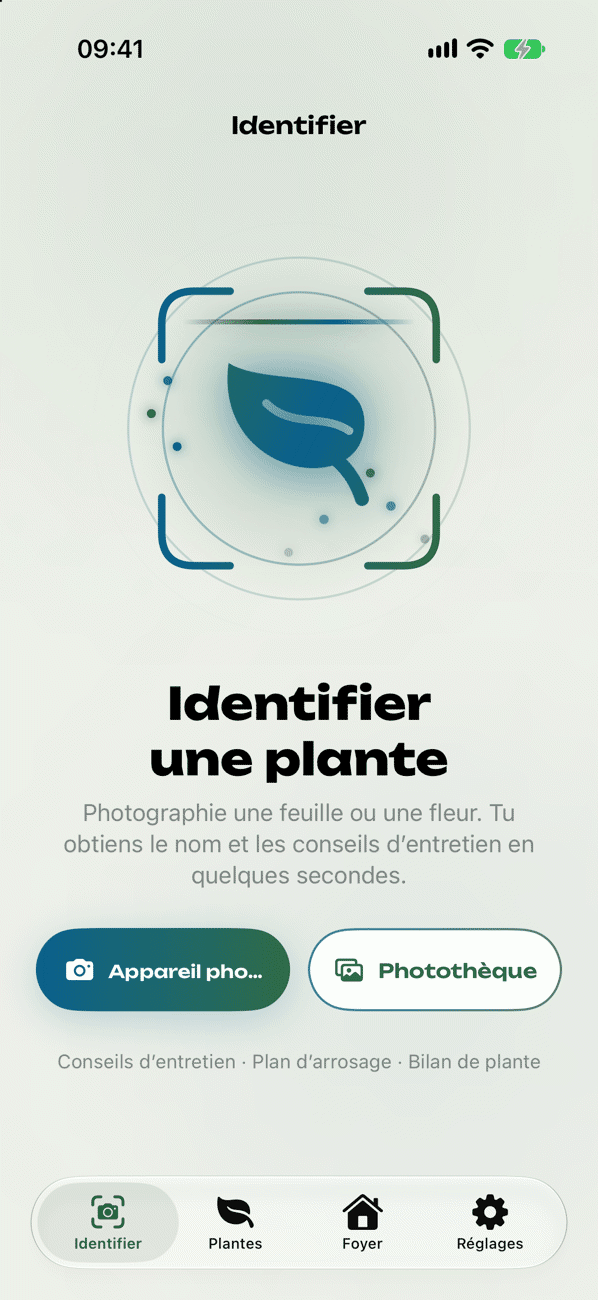 Identifier une plante en photo