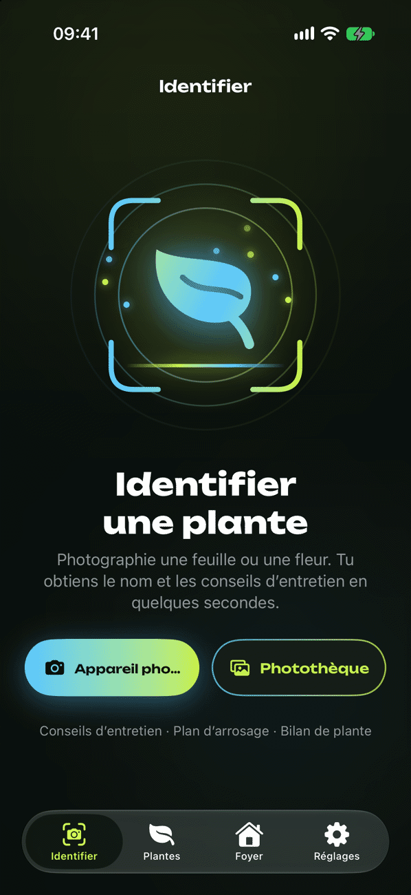 Identifier une plante en photo