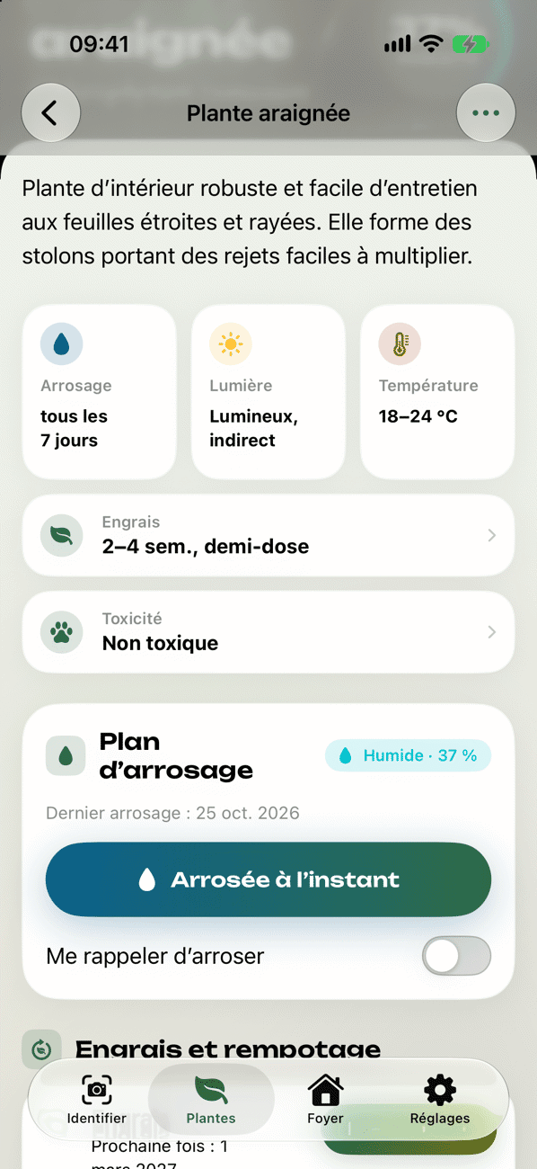 Plan de soins et d’arrosage