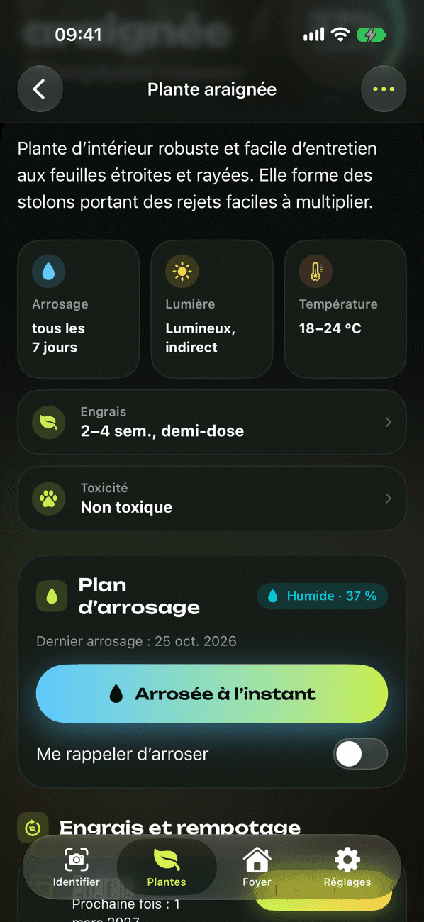 Plan de soins et d’arrosage