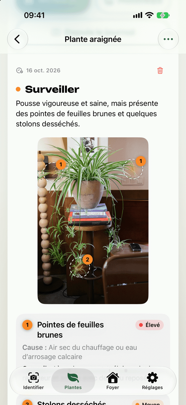 Bilan santé avec constat, cause et mesures