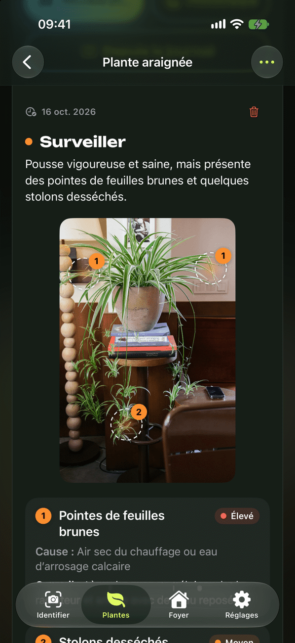 Bilan santé avec constat, cause et mesures