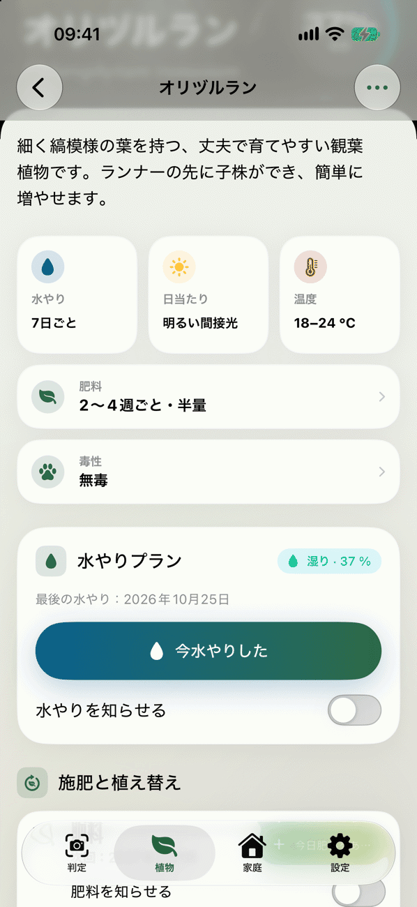 お手入れと水やりのプラン