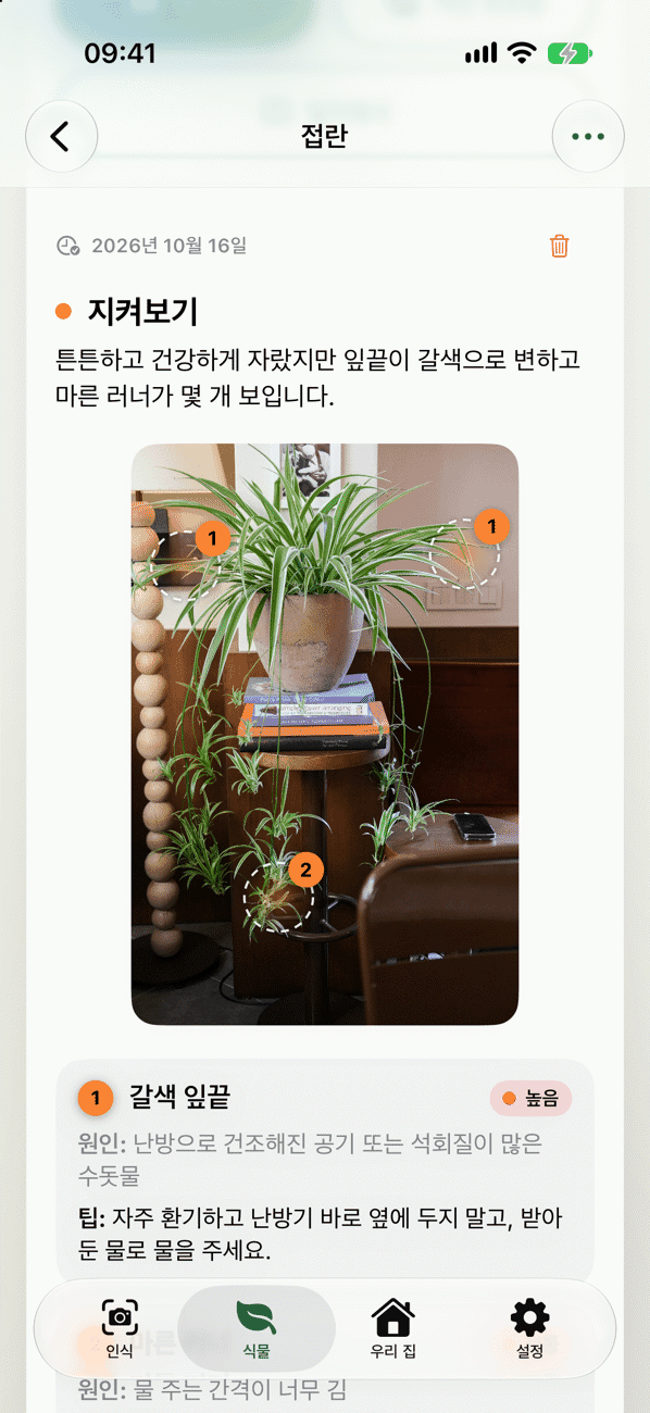 소견, 원인, 조치가 담긴 식물 체크