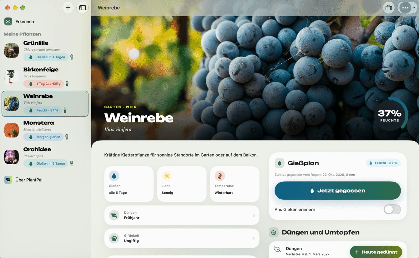 PlantPal am Mac mit Sensor, Verlauf und Pflanzen-Check