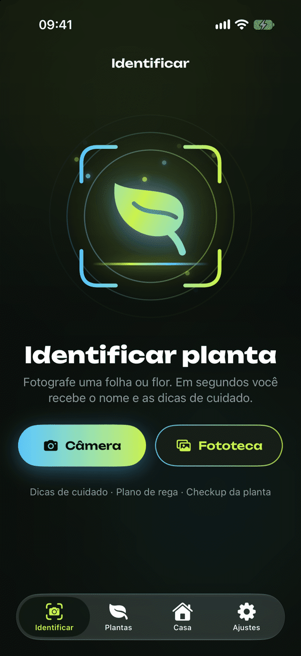 Identificar uma planta por foto