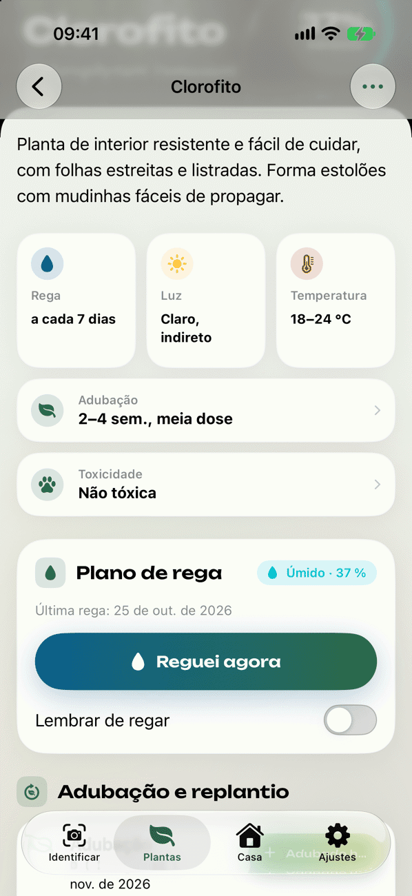 Plano de cuidados e rega