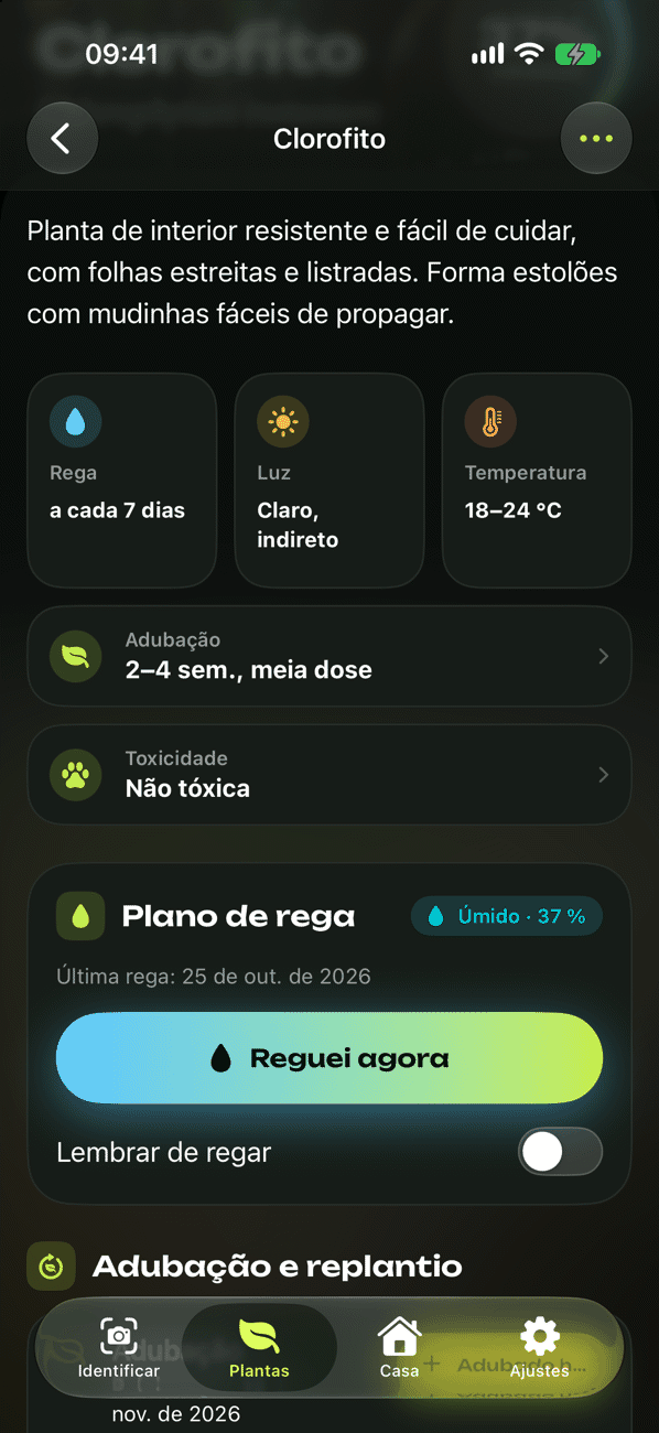 Plano de cuidados e rega