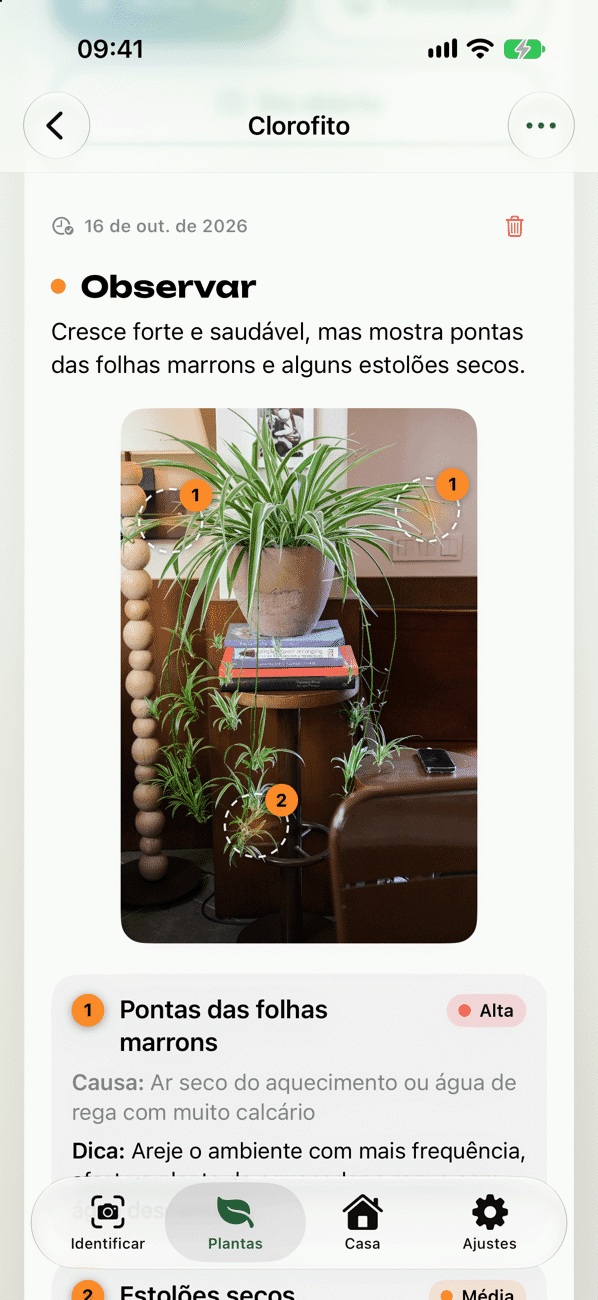 Check-up da planta com diagnóstico, causa e ações