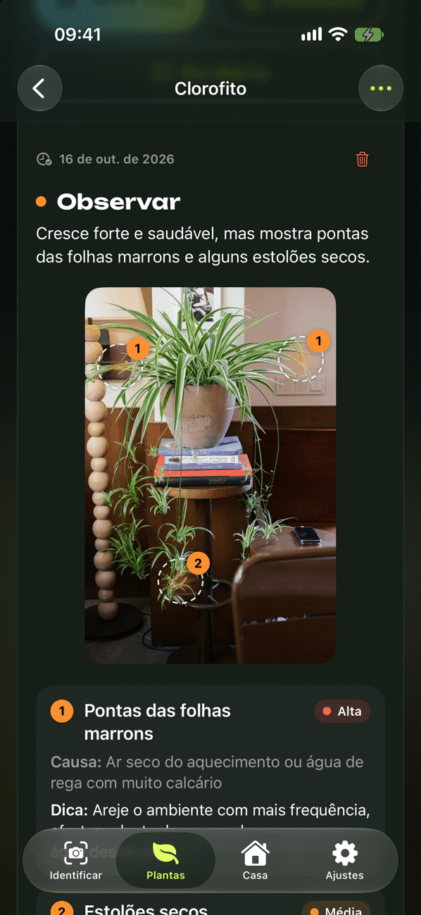 Check-up da planta com diagnóstico, causa e ações