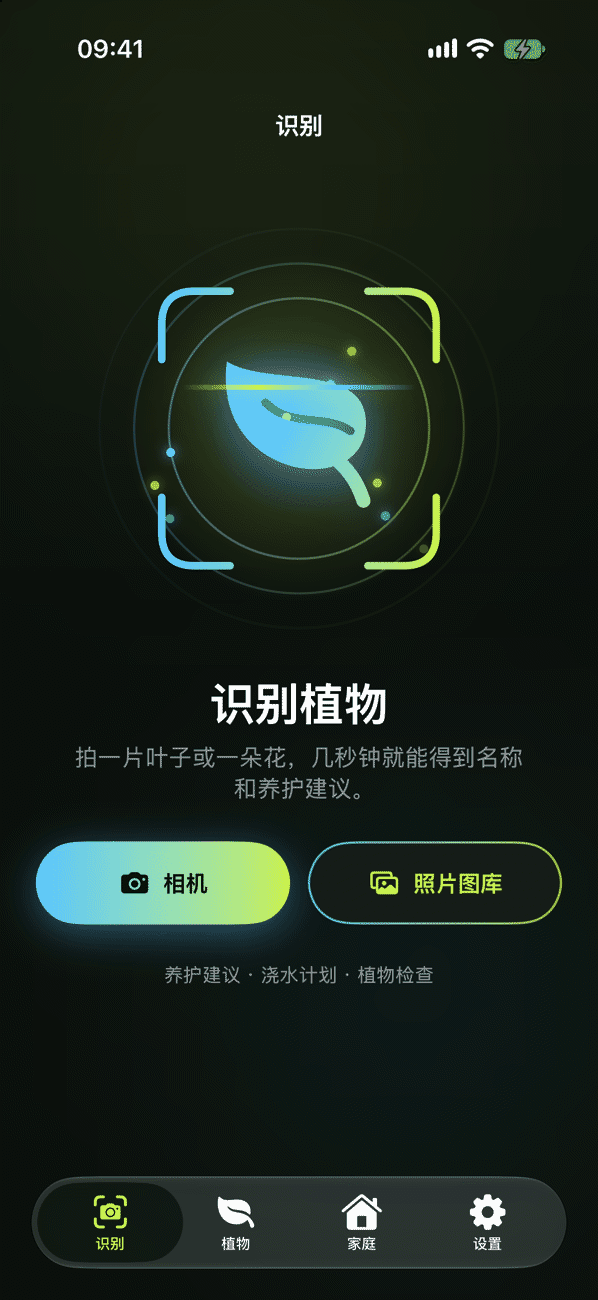 通过照片识别植物