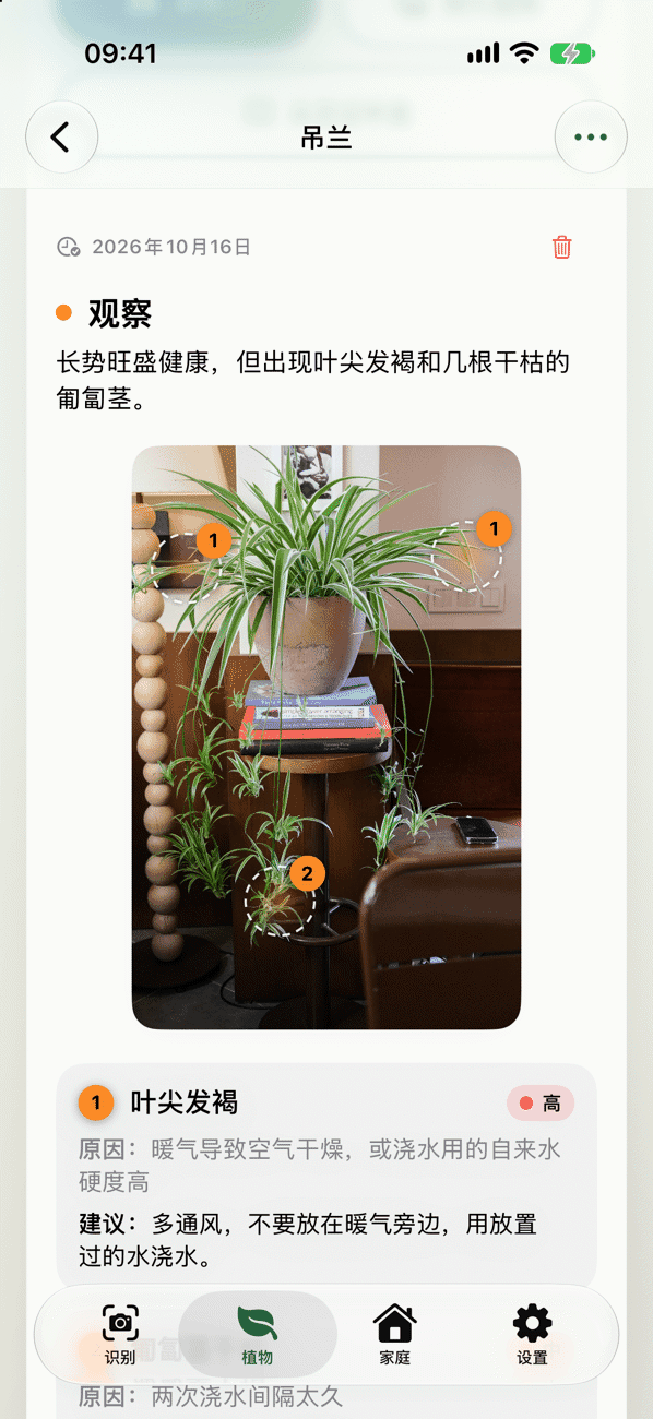 包含发现、原因和措施的植物检查