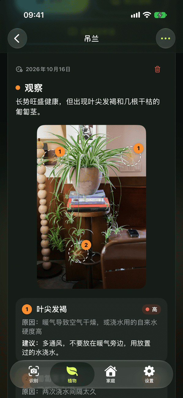 包含发现、原因和措施的植物检查